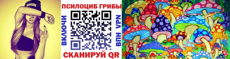 Псилоцибиновые грибы Cubensis  закладки  Ставрополь 